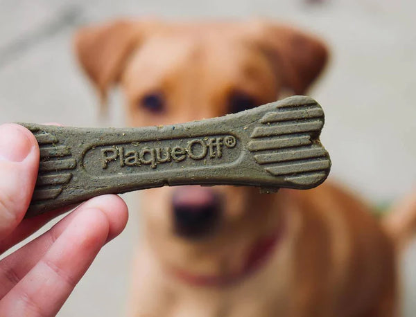 A detailed view of a Plaque Off Dental Care Bone, showing its unique shape designed to reduce plaque and tartar.