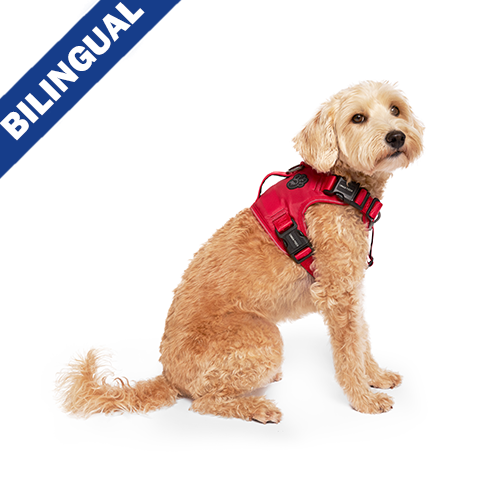 Canada Pooch - Complete Control Harness - Red