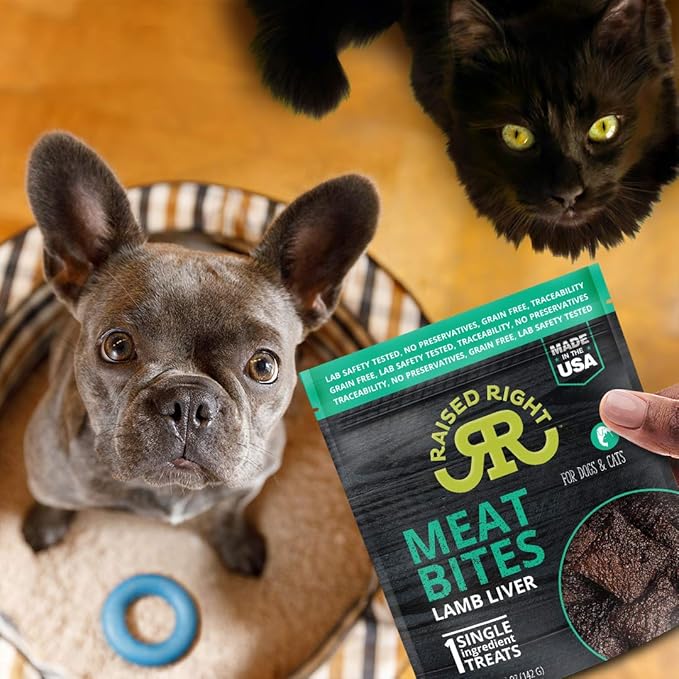 Raised Right Lamb Liver Meat Bites with dog and cat in background, showing excitement for these pure, single-ingredient treats.