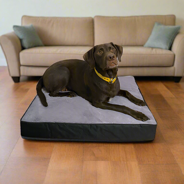 A dog comfortably resting on the Ruff Love Orthopaedic Dog Bed, highlighting the bed's supportive and cozy features.