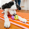 Dog actively pawing and chewing on WAGLAB PlayStack The Boomerang Green during indoor enrichment play while treats dispense to encourage engagement and healthy activity