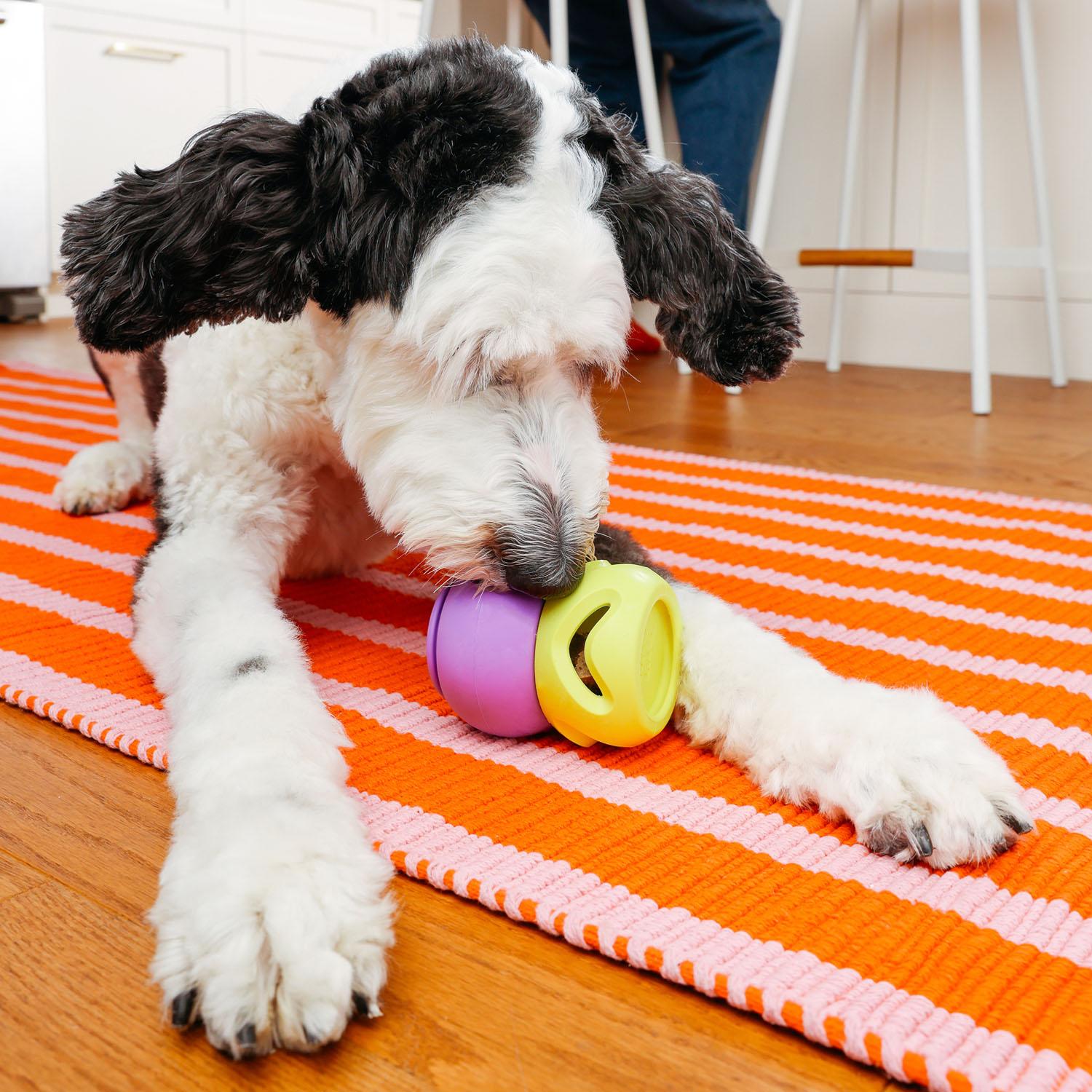 Curious dog focused on the WAGLAB PlayStack The Bully Orange enrichment toy on the floor, encouraging mental stimulation, problem-solving instincts, and independent interactive play