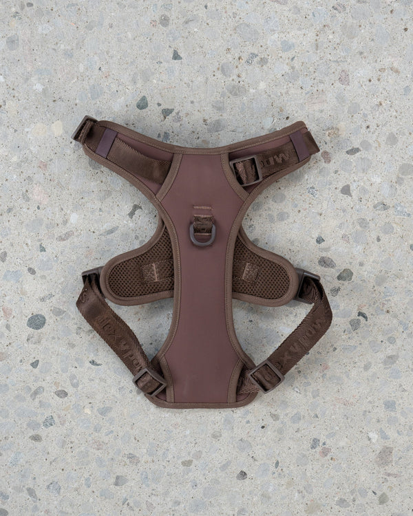 Dexypaws - No Pull Harness - Espresso