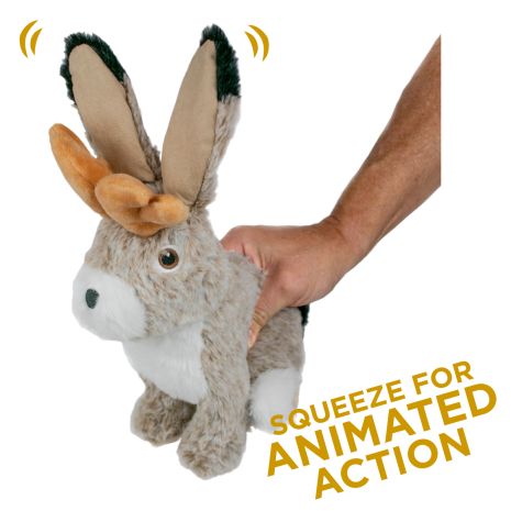 Tall Tails 8” Animated Jackalope Plush Dog Toy showing if you squeeze the toy the ears they twitch proving more engagement for your dog.