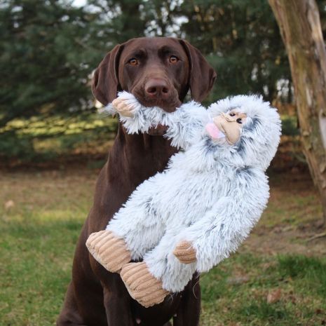 Chocolate Lab carrying the Tall Tails 14” Yeti Plush Dog Toy, showing rope interior durability, soft plush comfort, and safe squeaker for interactive fun.