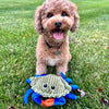 Dog engaging with Tall Tails 9” Animated Crab Plush Toy, showcasing twitchy claws, squeaker sound, and plush comfort for interactive fun and bonding.