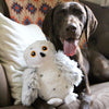 Dog playing with Tall Tails Animated Snow Owl Plush Toy, highlighting twitchy wings, squeaker sounds, and plush comfort for mental and physical stimulation.