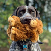 German Shorthaired Pointer carrying Tall Tails Highland Cow Plush Dog Toy, showing its soft, durable design for bonding, snuggling, and playful fetch sessions.
