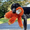 German Shorthaired Pointer holding the Tall Tails 14” Orangutan Plush Dog Toy, highlighting rope interior durability, plush softness, and squeaker for interactive fun.