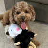 Doodle dog playing with Tall Tails Plush Possum Toy, highlighting rope interior, soft cuddly fabric, and engaging squeaker for interactive fun and bonding.