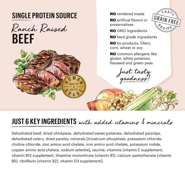 Close-up of The Honest Kitchen Dehydrated Dog Food ingredients, showcasing ranch-raised beef as the single protein source and other whole foods used in the recipe.