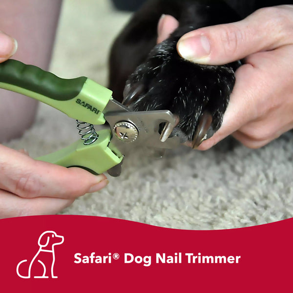 The Safari Professional Dog Nail Trimmers provide a safe and effortless trimming experience. This close-up image shows how the sharp stainless steel blades cut through nails smoothly while the non-slip handle offers a steady grip. The safety stop guard helps pet parents avoid cutting too close to the quick, ensuring a comfortable and pain-free trim for their furry friends.