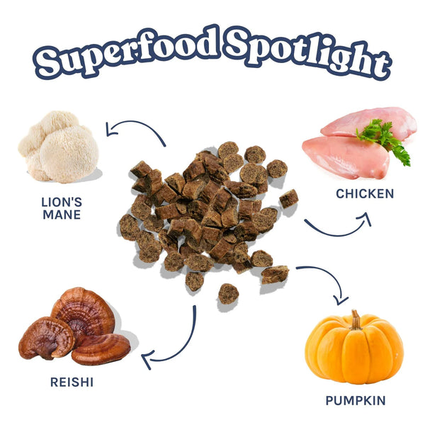 Close-up image of Healthybud Chicken Mini Training Treats, showing the small, bite-sized treats and highlighting ingredients like chicken, Lion’s Mane, Reishi mushrooms, and pumpkin.