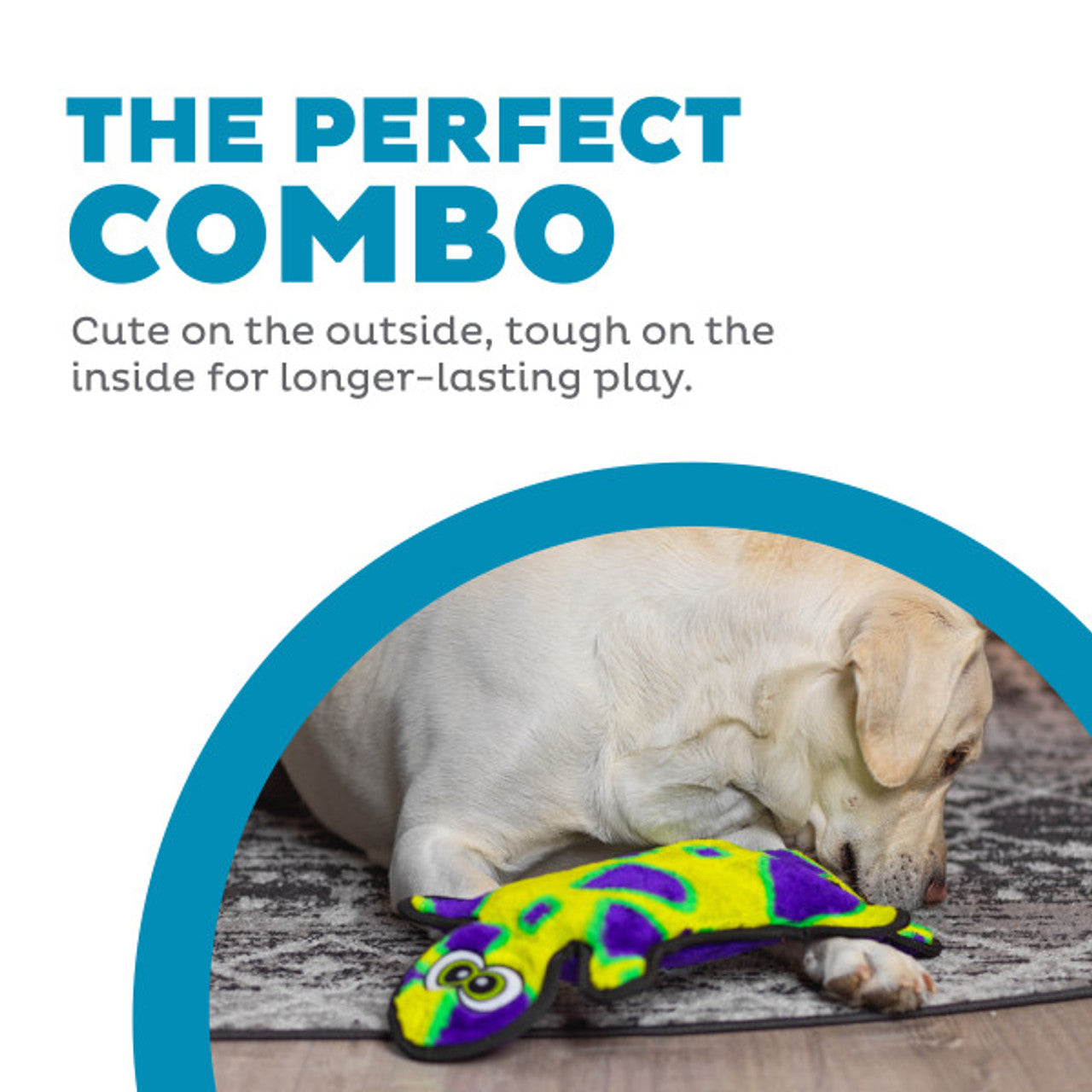 Image showing the Durablez Gecko dog toy highlighting the playful plush exterior and tough interior construction, perfect for dogs who chew hard but love soft toys.