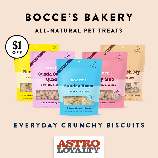 Discover Bocce's Bakery monthly promotion: Exclusive deals and discounts on your favourite treats for your furry friend.