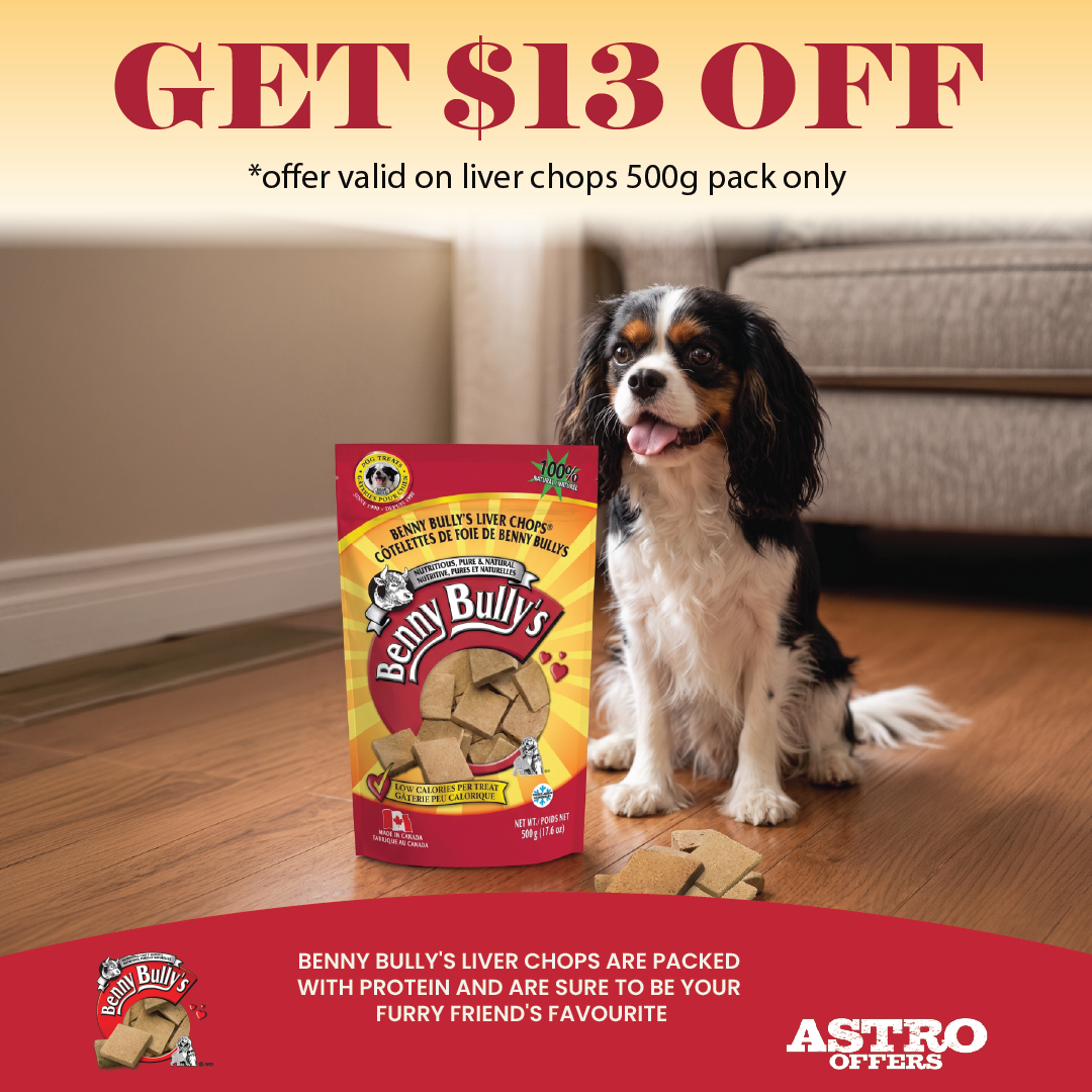 Benny Bully -  Liver Dog Treats