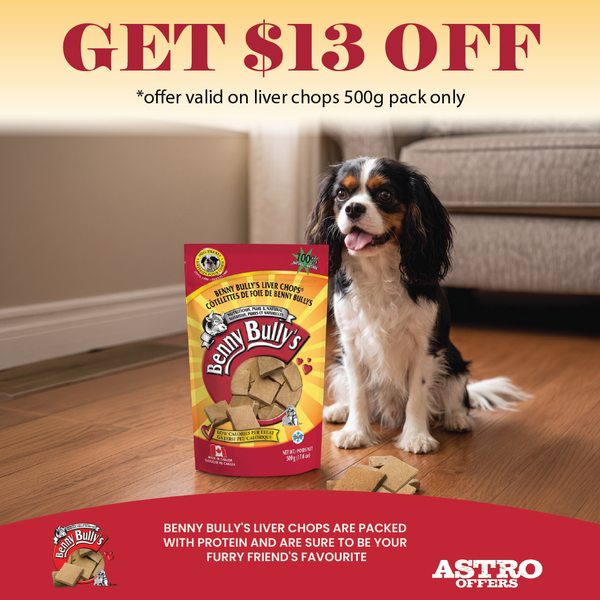 Benny Bully -  Liver Dog Treats