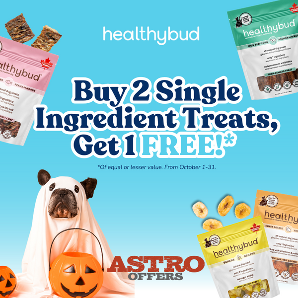 Healthybud Dog Treats - Banana Crisp