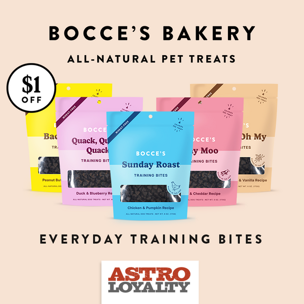 Bocce's Bakery - Training Bites - Mud Pie Oh My