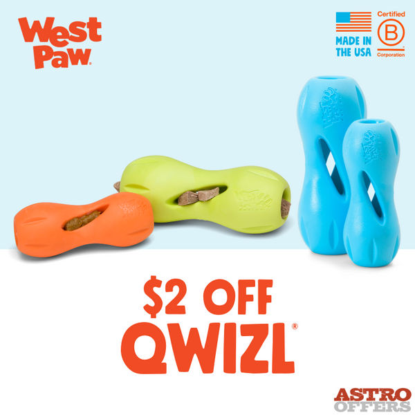 West Paw Qwizl