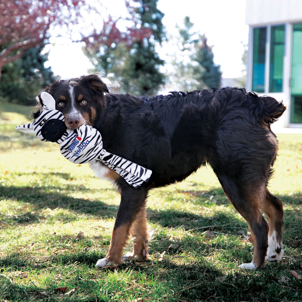 A dog enthusiastically playing with the Kong Wubba No Stuff Zebra, showcasing the toy’s long tails and squeaker.