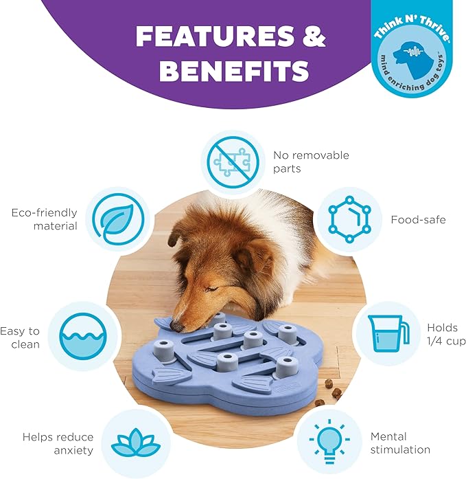 An image highlighting the various compartments and moving parts of the Hide n' Slide Dog Toy.