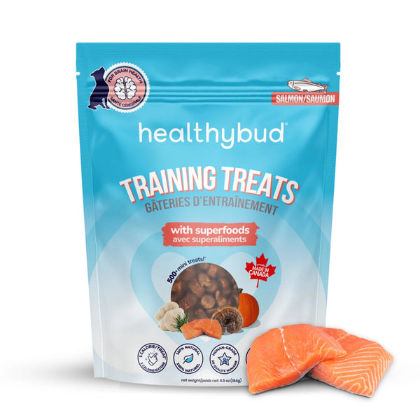 Front of Healthybud Salmon Mini Training Treats bag, highlighting superfood ingredients and brain health benefits.