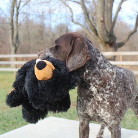 Tall Tails - 20" Stuffless Black Bear