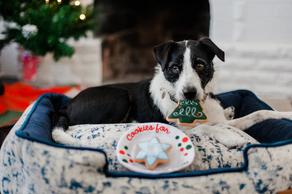 Pet Play Merry Woofmas Christmas Eve Cookies toy in front of a dog resting on a bed, showcasing the festive crinkly plate and removable squeaky cookies that make holiday play fun and interactive.