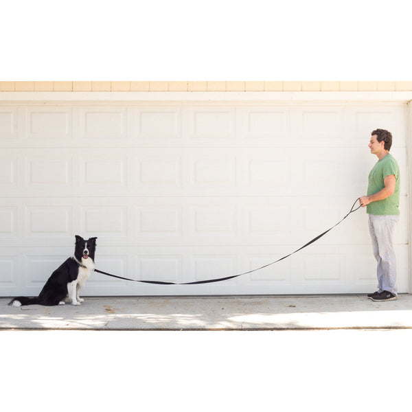 Train Right - 10' Long Training Leash