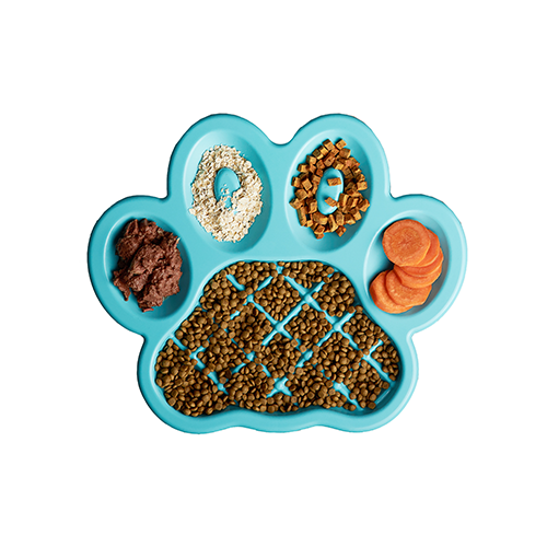 Pet Dream House PAW Dish Slow Feeder