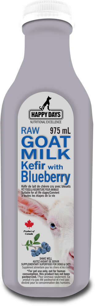 Happy Days - Frozen Raw Goat Milk Kefir With Blueberries