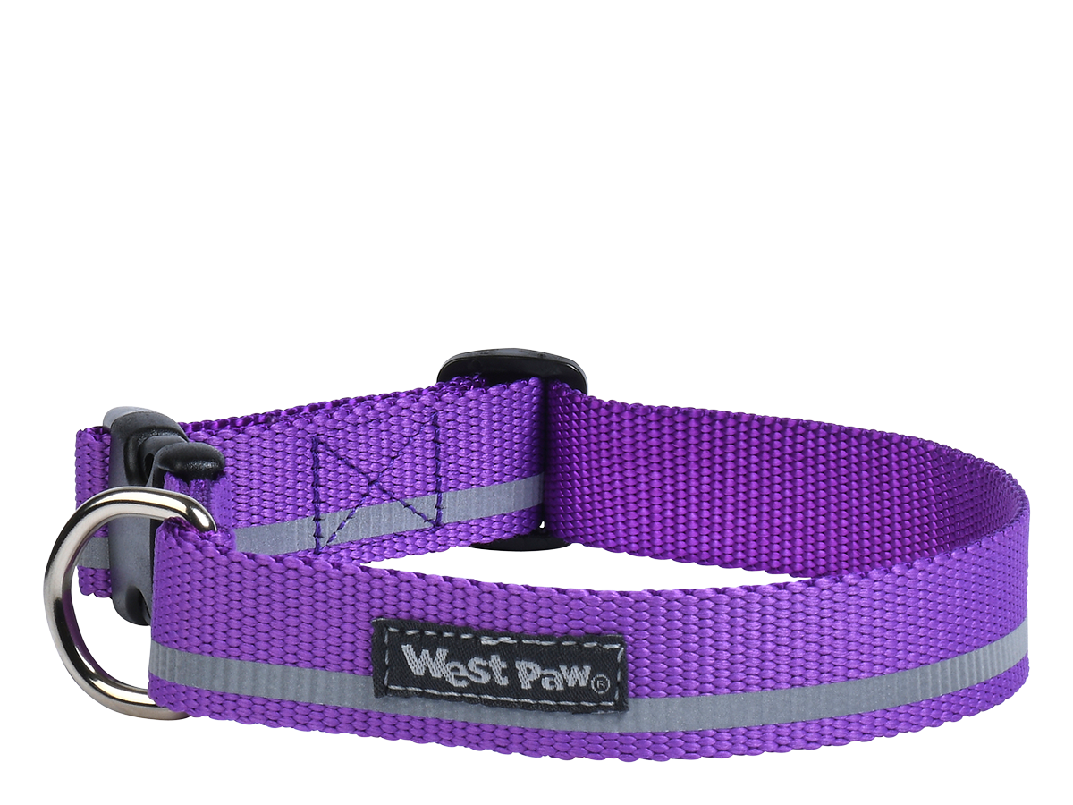 West Paw - Strolls Collar - Purple