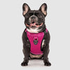 Canada Pooch - Everything Harness - Pink