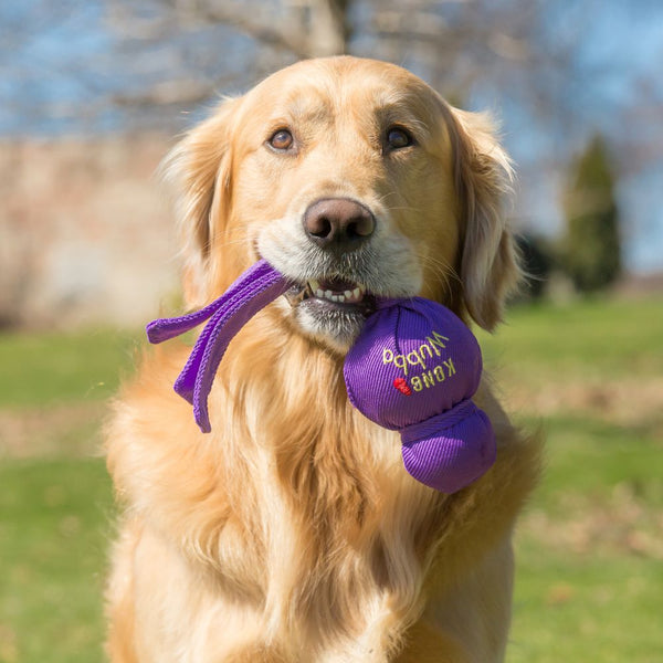 A happy dog playing with the KONG Wubba, shaking and tugging the long floppy tails for interactive and solo play.