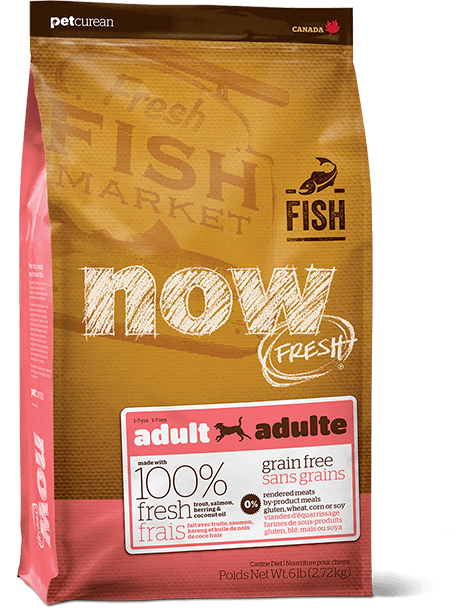 Now Fresh - Grain Free - Adult - Fish