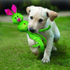A happy dog playing with a Kong Wubba Ballistic Friend in its mouth, demonstrating the toy's durability and fun design.