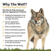 Adored Beast The Wolf: Illustration explaining the historical bacterial diversity of wolf guts, inspiring this canine supplement.
