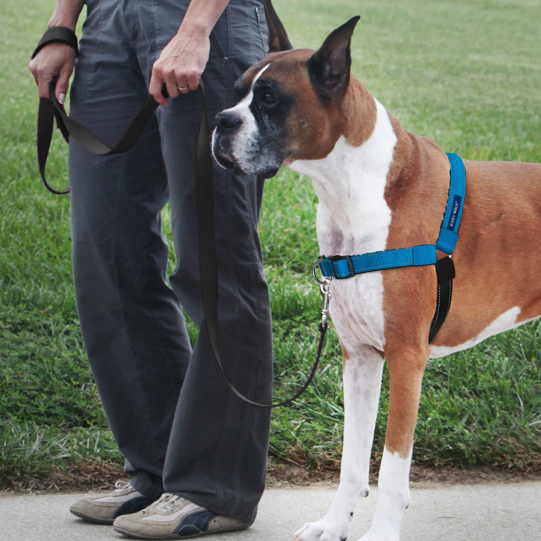 Easy Walk Deluxe Harness - Grey