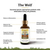 Adored Beast The Wolf: Visual representation of the supplement's benefits, including reduced inflammation and strengthened gut barrier.