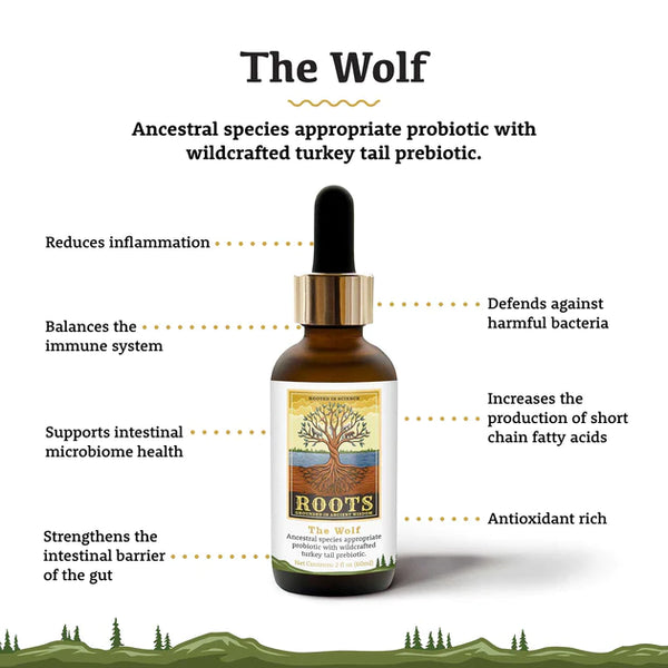 Adored Beast The Wolf: Visual representation of the supplement's benefits, including reduced inflammation and strengthened gut barrier.