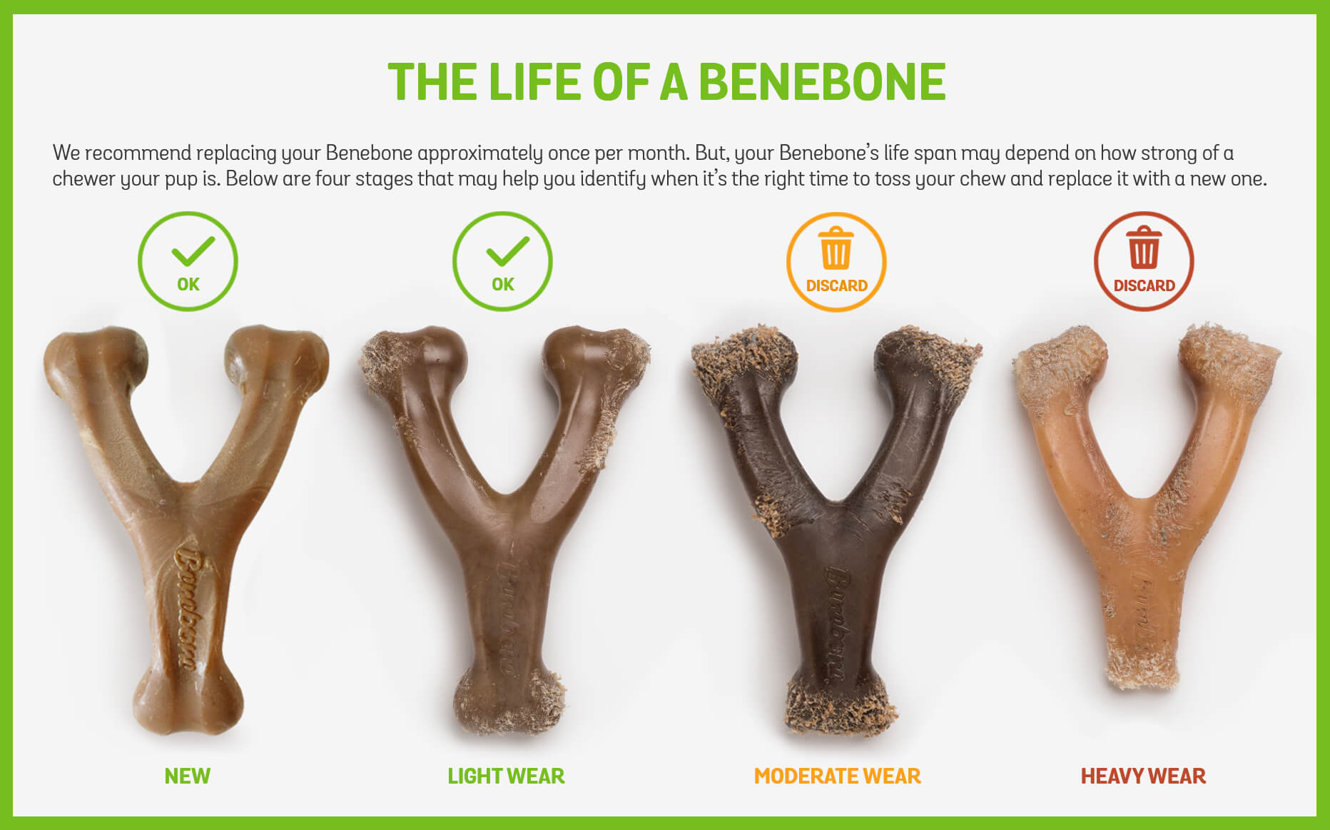 Benebone Maple & Bacon Sticks: Guidelines for when to replace the chew sticks, ensuring optimal safety and enjoyment for your dog.